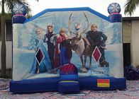 Grande scorrevole congelato dell'interno della Camera di principessa Happy Hop Inflatable Bounce